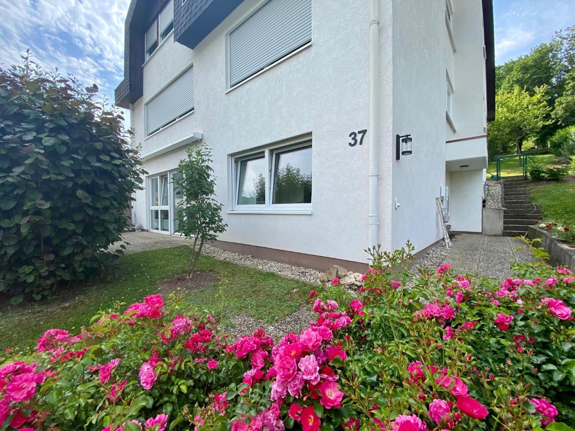 Neu: Ferienwohnung Zum Nussbaum - Landhausstil & Moseltalblick 特拉本特拉巴赫 外观 照片